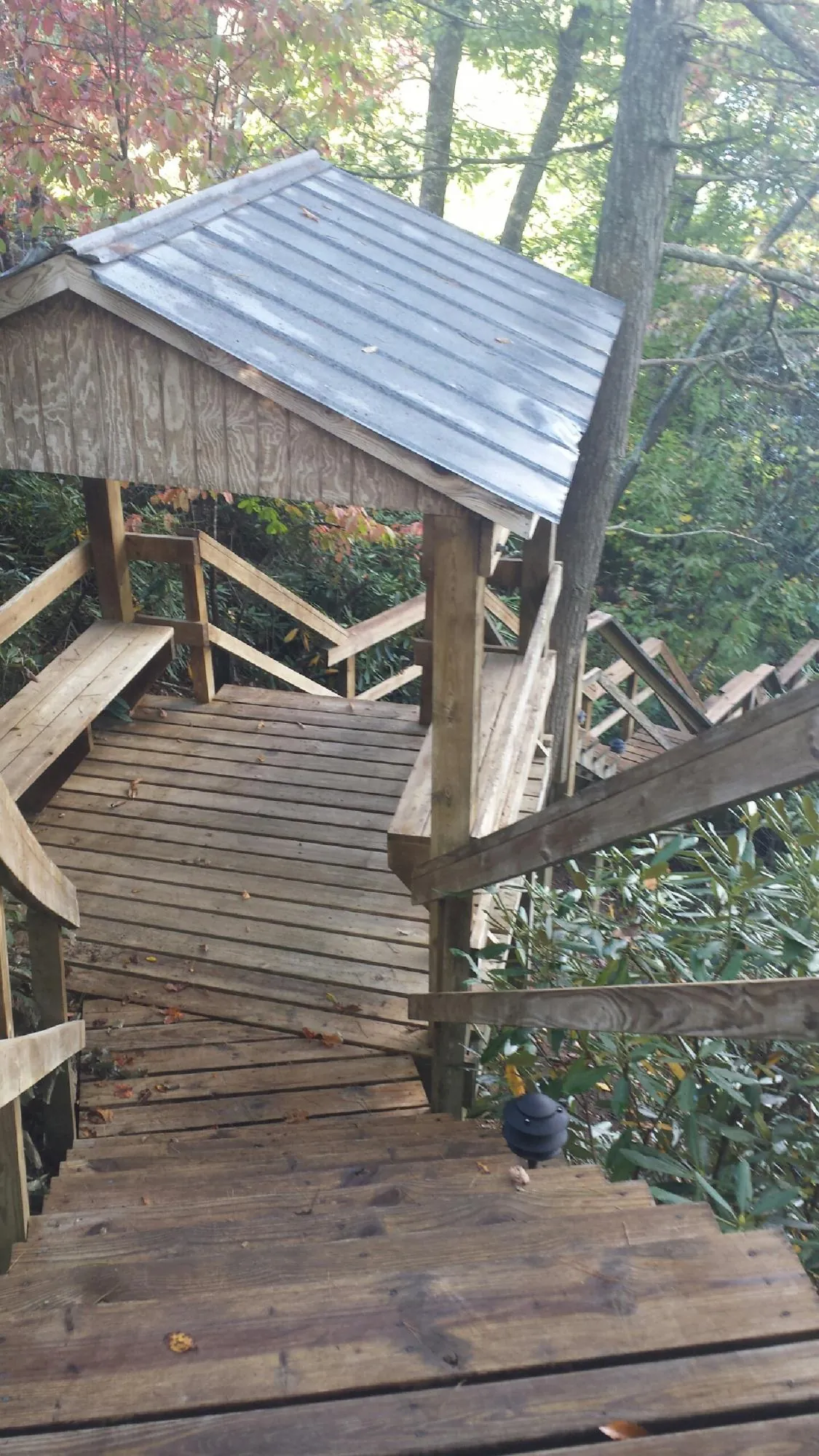 Metal roofed shelter over wooden steps on a wooded walkway — Skylight Repair & Installation work by our crew in Reed