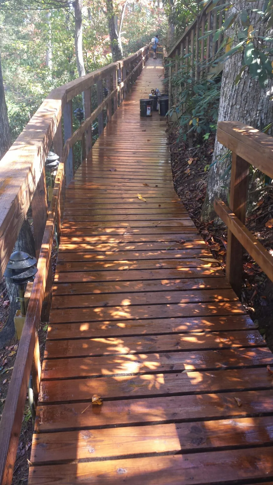 Freshly stained wood walkway winding through the woods in Reed